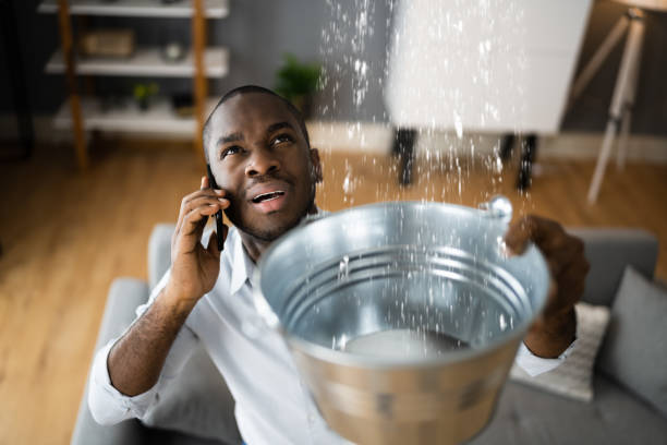 Best Basement water damage restoration  in East Stroudsburg, PA