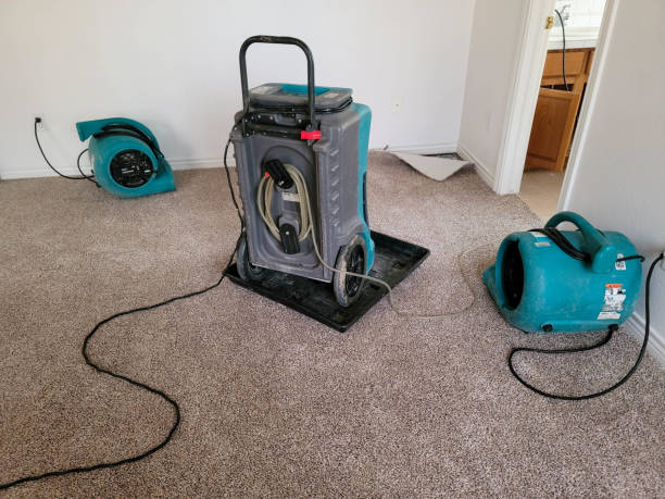 Carpet water damage restoration in East Stroudsburg, PA