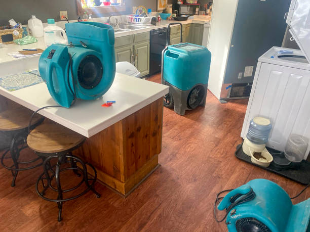 Best Mold removal after water damage  in East Stroudsburg, PA