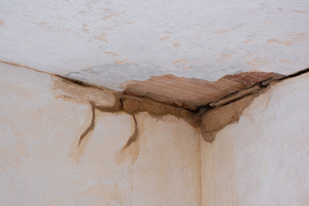 Best Residential water damage restoration  in East Stroudsburg, PA