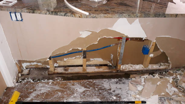 Best Water damage cleanup near me  in East Stroudsburg, PA