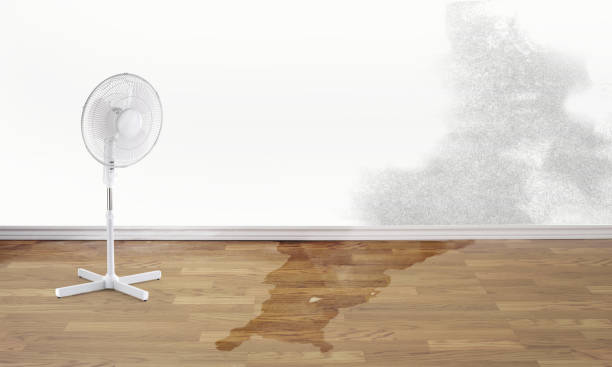 Best Water damage restoration specialists  in East Stroudsburg, PA