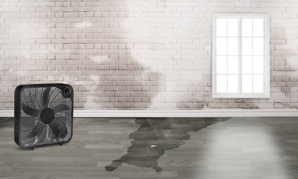 Best Sewage cleanup and water damage restoration  in East Stroudsburg, PA