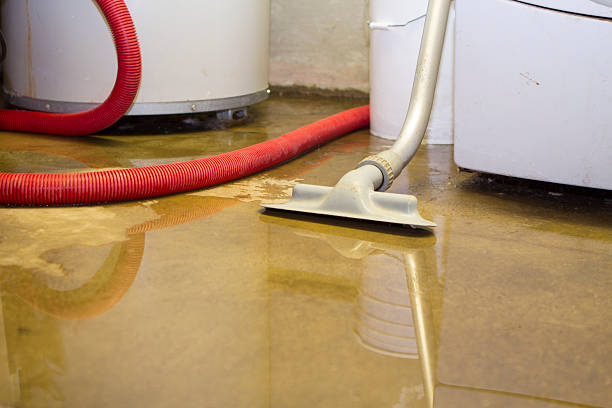 Best 24-hour water damage restoration  in East Stroudsburg, PA