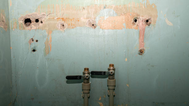 Best Flood restoration services  in East Stroudsburg, PA