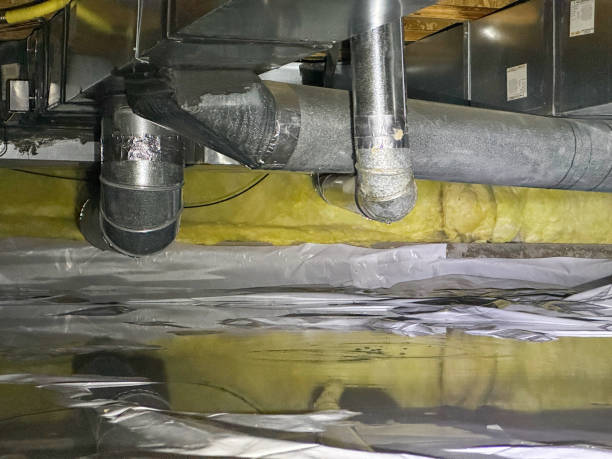 Best Flooded house restoration  in East Stroudsburg, PA