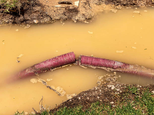 Best Water damage restoration near me  in East Stroudsburg, PA